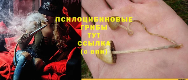 прущий лед Медногорск