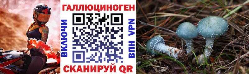 Псилоцибиновые грибы Magic Shrooms  как найти закладки  это наркотические препараты  Новомичуринск 